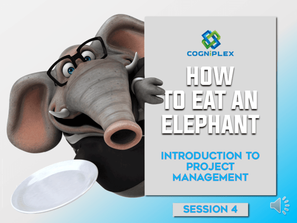 HOW TO EAT AN ELEPHANT - INTRODUCTION TO PROJECT MANAGEMENT